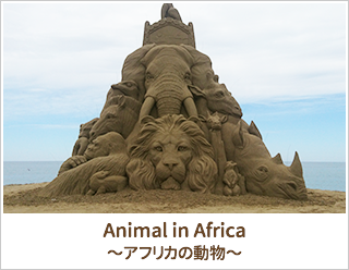 Animal_in_Africa