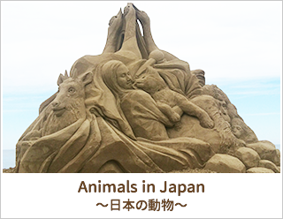 Animal_in_japan